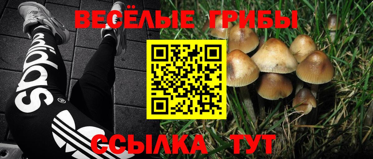 Псилоцибиновые грибы Magic Shrooms  Вход с VPN  Заречный 