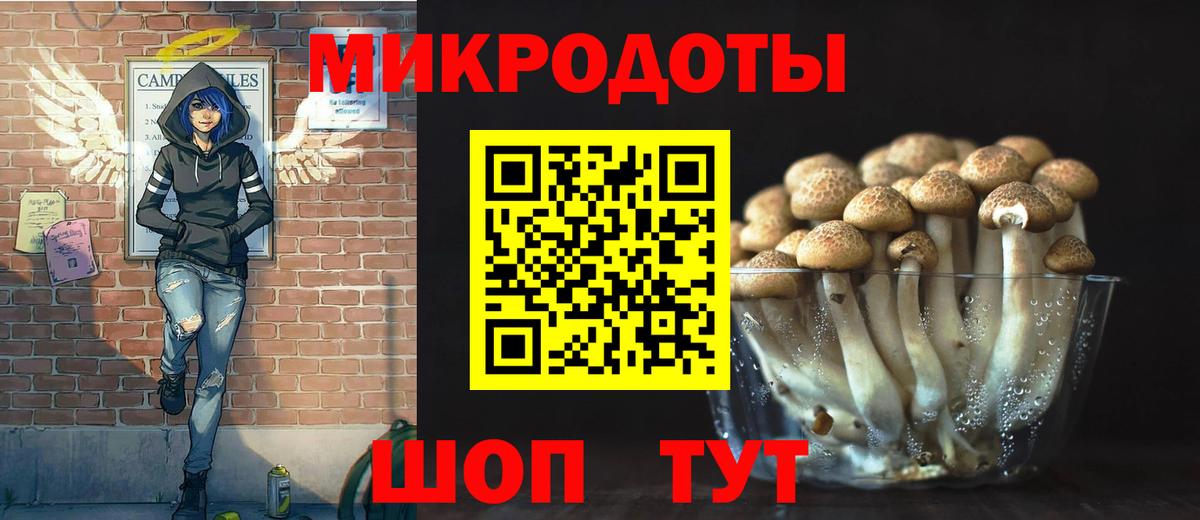 Псилоцибиновые грибы MAGIC MUSHROOMS Заречный